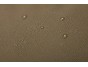 Thule Chasm sportovní taška 90 l TDSD304 - Deep Khaki